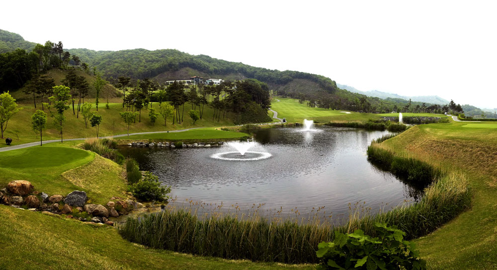파인 Course