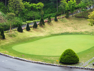 club image
